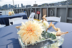 A RECEPTION TO REMEMBER